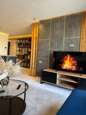 Classy presidential apartment